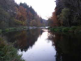 Sázava 12 P-Smrčná 26.10.06.jpg